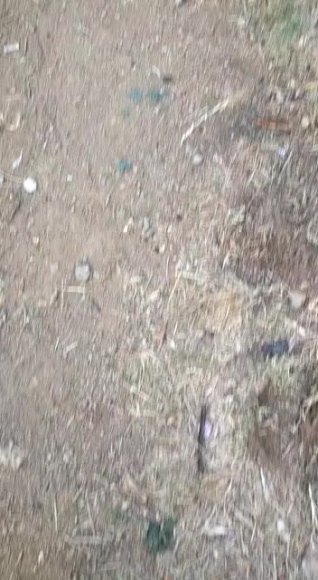 /2026-08-02 23-54/VID-20231209-WA0007.mp4