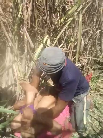 /2026-08-06 17-19/5_6066405962867018672(1).mp4